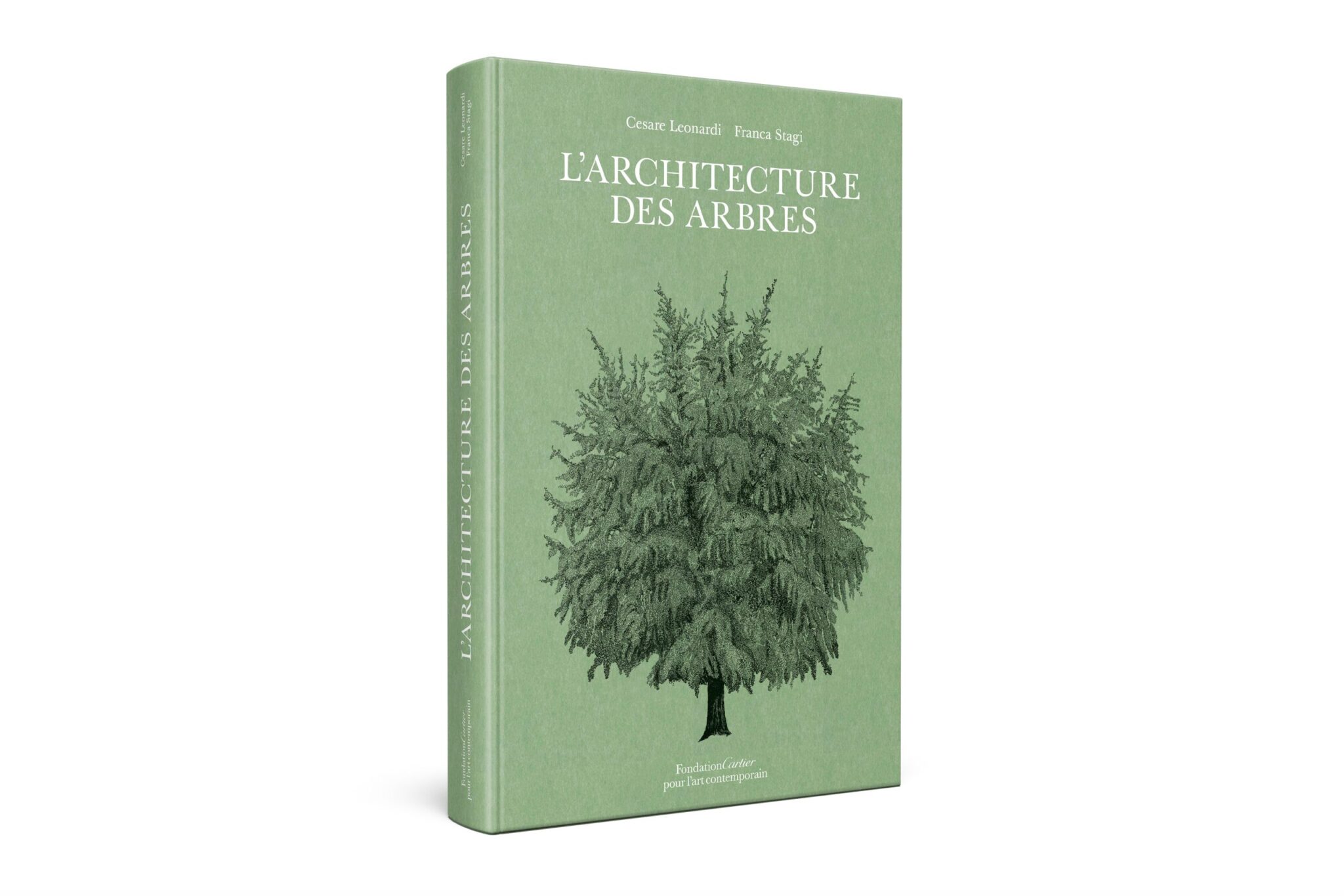 L'Architecture des arbres